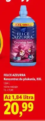 Lidl Koncentrat do płukania Felce Azzurra Orchidea Nera XXL oferta