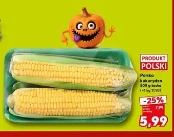 Kukurydza polska