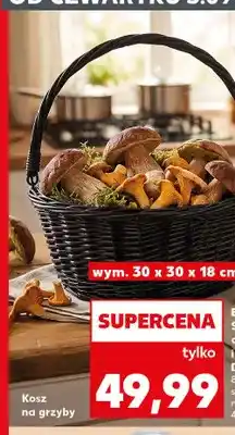 Kaufland Kosz na grzyby oferta