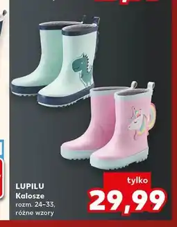 Kaufland Kalosze Lupilu oferta