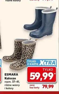 Kaufland Kalosze Esmara oferta
