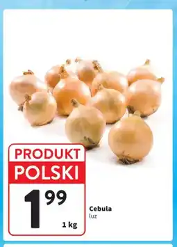Intermarche Cebula polska oferta