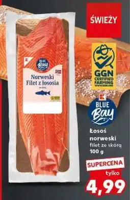 Kaufland Łosoś norweski filet ze skórą oferta