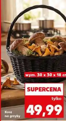 Kaufland Kosz na grzyby oferta