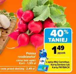 Carrefour Polska rzodkiewka oferta