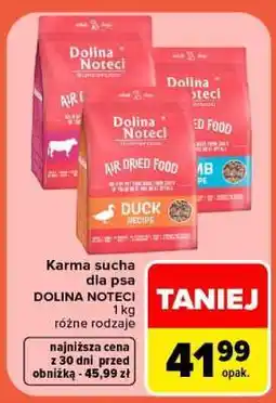 Carrefour Dolina Noteci oferta