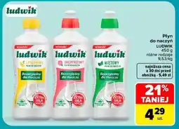 Carrefour LUDWIK oferta