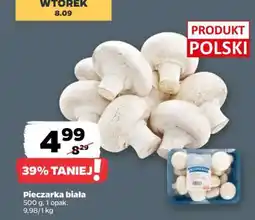 Netto Pieczarka biała oferta