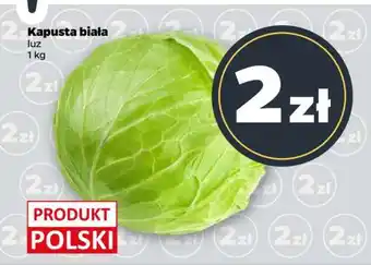 Netto Kapusta biała oferta