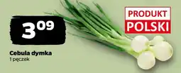 Netto Cebula dymka oferta