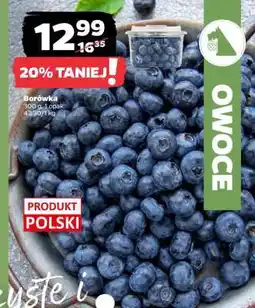 Netto Borówka oferta