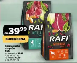 Netto Rafi Karma sucha dla psów z jagnięciną oferta