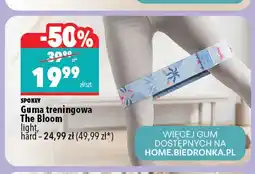 Biedronka Guma treningowa The Bloom hard Spokey oferta