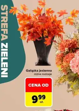 Carrefour Gałązka jesienna oferta