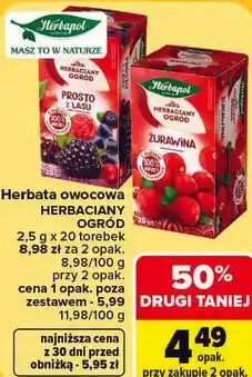 Carrefour Herbata owocowa Herbapol Herbaciany Ogród oferta