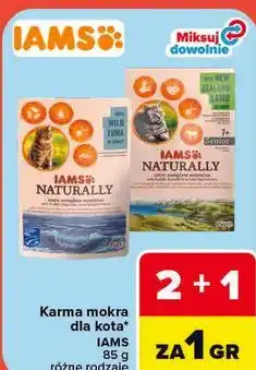 Carrefour Karma mokra dla kota IAMS Naturally oferta