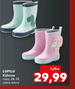 Kaufland Kalosze Lupilu oferta