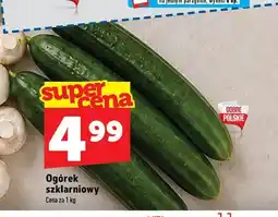 Topaz Ogórki szklarniowe oferta