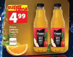 Topaz Nektar jabłkowy Cappy oferta