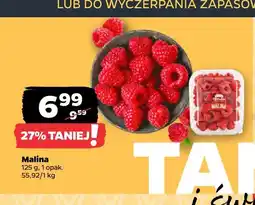Netto Malina oferta