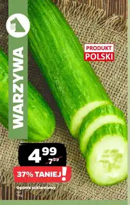 Netto Ogórki szklarniowe oferta