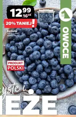 Netto Borówka oferta