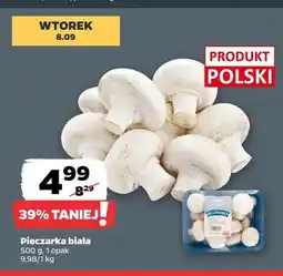 Netto Pieczarki białe oferta