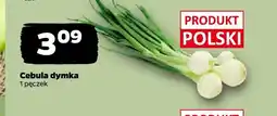 Netto Cebula dymka oferta