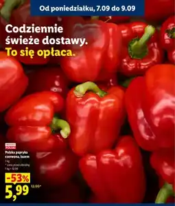 Lidl Papryka czerwona polska luzem oferta