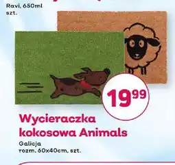 Bliski Wycieraczka kokosowa Animals 60x40 cm Galicja oferta