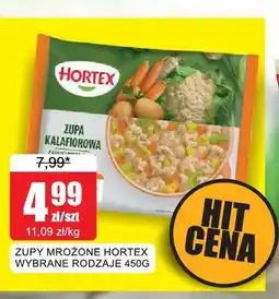 Bingo Zupy mrożone Hortex oferta