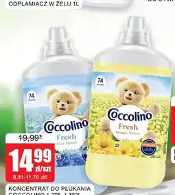 Bingo Koncentrat do płukania Coccolino oferta