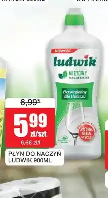 Bingo Płyn do naczyń Ludwik oferta