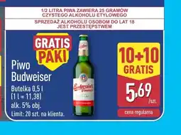 ALDI Piwo Budweiser oferta