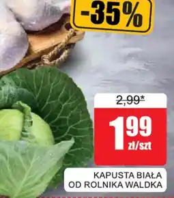 Bingo Kapusta Biała od Rolnika Waldka oferta