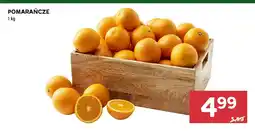 Stokrotka Pomarańcze oferta