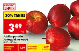 Biedronka Jabłko polskie Jonagold na wagę oferta