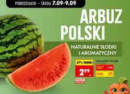 Biedronka Arbuz polski na wagę oferta