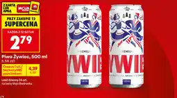 Biedronka Piwo Żywiec oferta