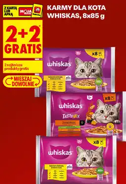 Biedronka Karmy dla kota Whiskas oferta
