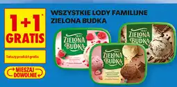 Biedronka Lody familijne Zielona Budka oferta