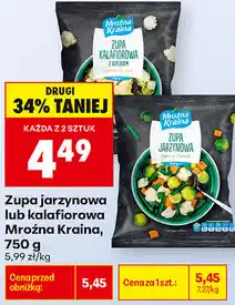 Biedronka Zupa jarzynowa lub kalafiorowa Mroźna Kraina oferta