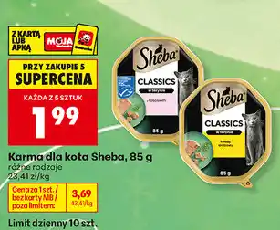 Biedronka Karma dla kota Sheba oferta