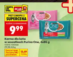 Biedronka Karma dla kota w saszetkach Purina One oferta