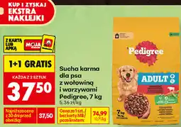 Biedronka Sucha karma dla psa Pedigree oferta