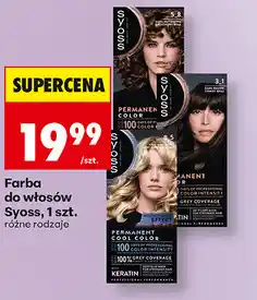 Biedronka Farba do włosów Syoss oferta