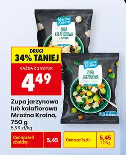 Biedronka Zupa jarzynowa Mroźna Kraina oferta