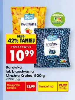 Biedronka Borówka Mroźna Kraina oferta