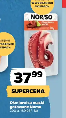 Netto Ośmiornica oferta