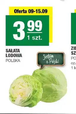 Spar Sałata lodowa polska oferta